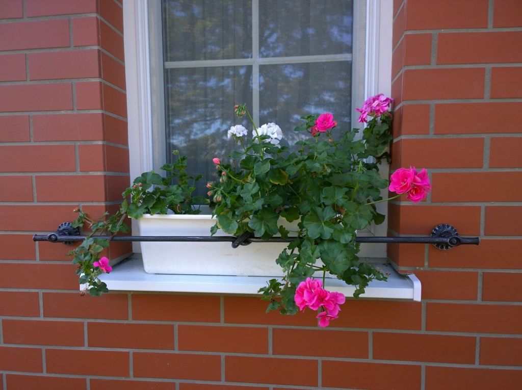 Okrasn� kovan� dopl�ky - okenní zábrany 01