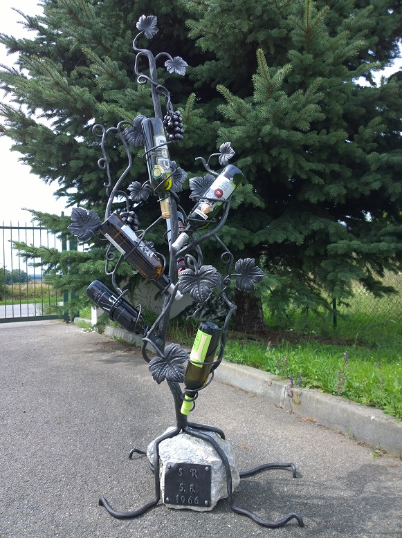 Plastika vinn� r�vy - lastika vinné révy  Mutěnice