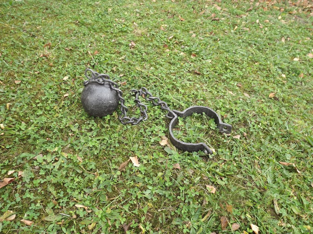 Kovan� koule pro �enicha - kovana koule pro zenicha