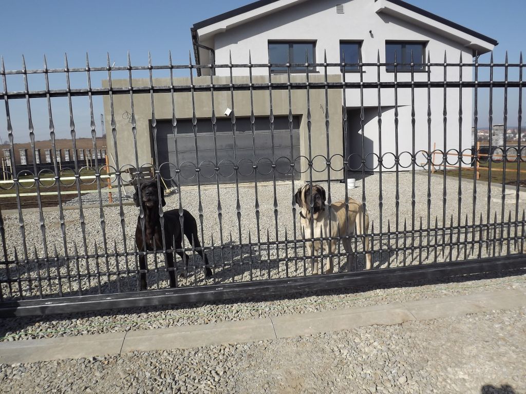 Kovan� br�na, branka a oplocen� - Tetčice - kovaná brána