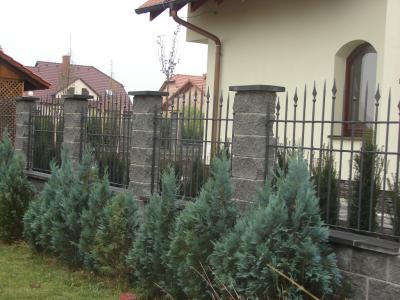 Kovan ploty Sokolnice